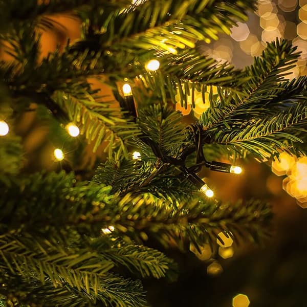 20M 200 LED String Lights Christmas Tree Copper Wire Warm White Dark Green