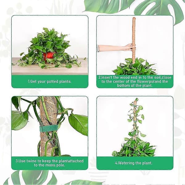 Moss Pole Monstera Växtstöd, Böjbara Växtpinnar för Inomhusväxter, Växtpinnar för Klätterväxter 2-pack