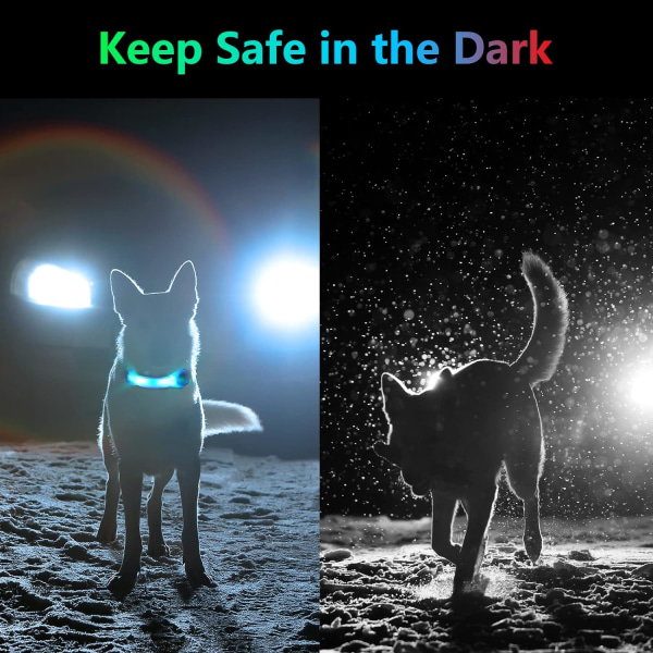1st blått ljus upp hundkoppel, vattentät blinkande LED-hundhalsband