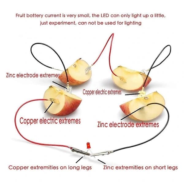 Fruit Battery Science Experiment Kit for Homeschooling Toy, Lemon Potato Battery Physics Teaching Ex