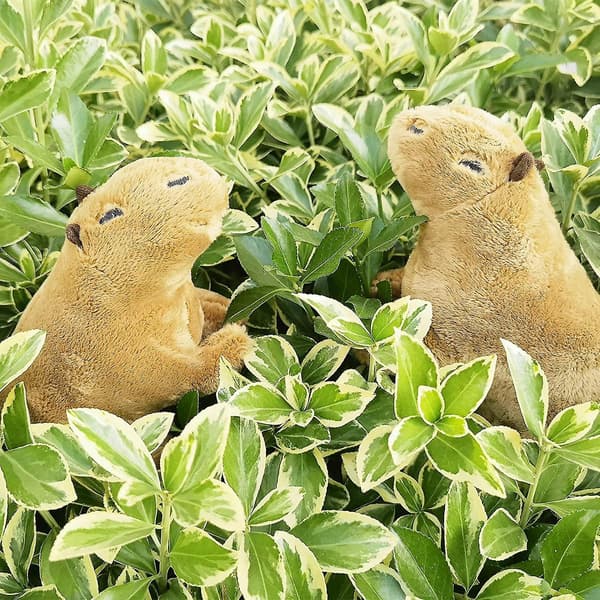 Kapybara-pehmolelu 7,8\" simulaatio kapybara-pehmolelu pehmoeläin söpö pehmonukke lasten lahja