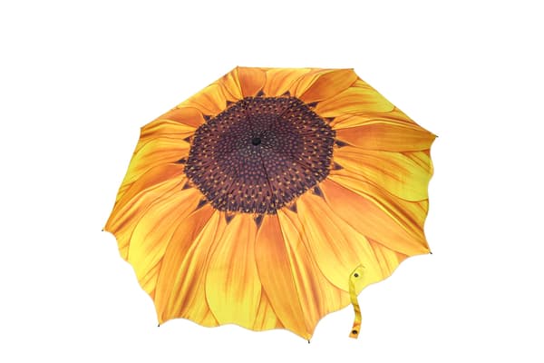 Windproof Travel Umbrella - Compact Foldable Portable