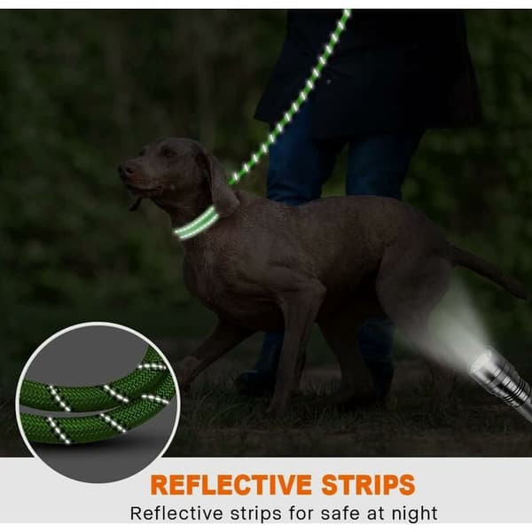 Nylon Dog Leash with Soft Padded Handle and Reflective Threads, 150 cm x 1.2 cm, Green