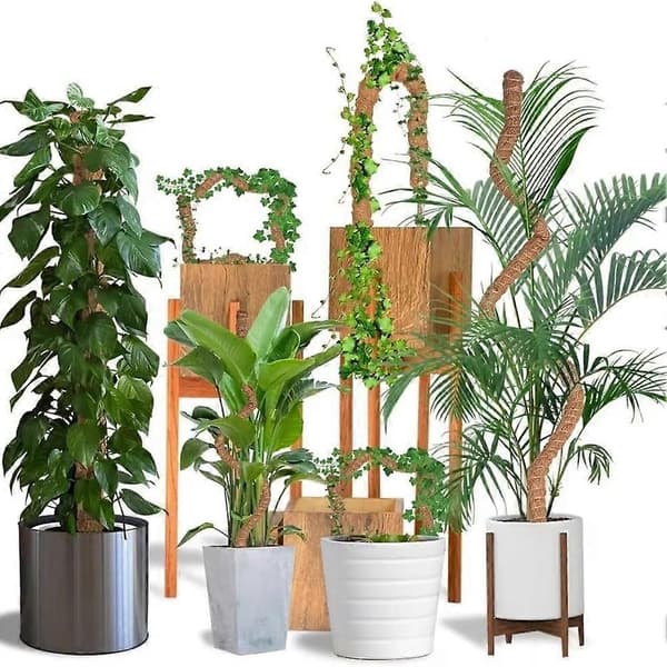 Moss Pole Monstera Växtstöd, Böjbara Växtpinnar för Inomhusväxter, Växtpinnar för Klätterväxter 2-pack