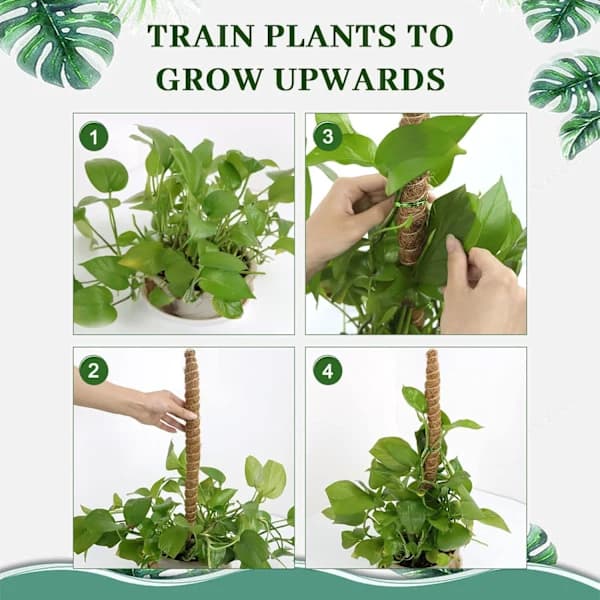 4-pakning Hagestolper for Monstera deliciosa, Klatrestøtte, Bøybare Formbare Mosestolper, Pothos og Klatreplanter, A