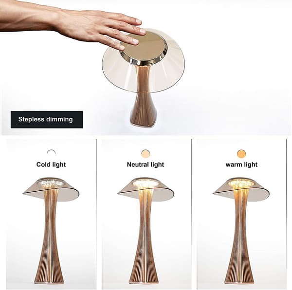 Dimmable USB Table Lamp, Rechargeable Bedside Lamp - Pink LED Touch Night Light 3W Wireless PMMA Design Table Lamp Modern Night Light [Energy Class A++]