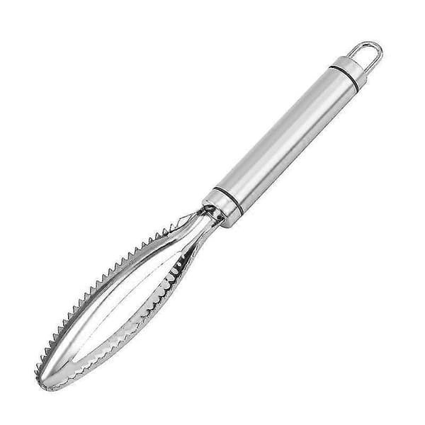 Fish Scaler Brush Fish Scraper Remover With Stainless Steel Serrated (1pc, Silver) yu