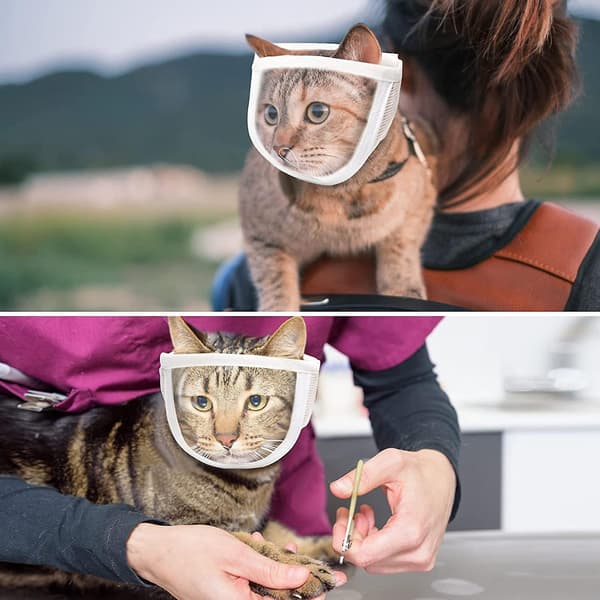 Pet Muzzle Anti-bite Adjustable Breathable Anti-scratch Small Pet Transparent Grooming Muzzle Cat Su S S