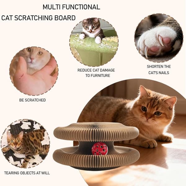 Magic Organ Cat Scratching Post - Foldable Magic Cat Scratching Post with Ball and Bell - Interactive Indoor Cat Toy_yu