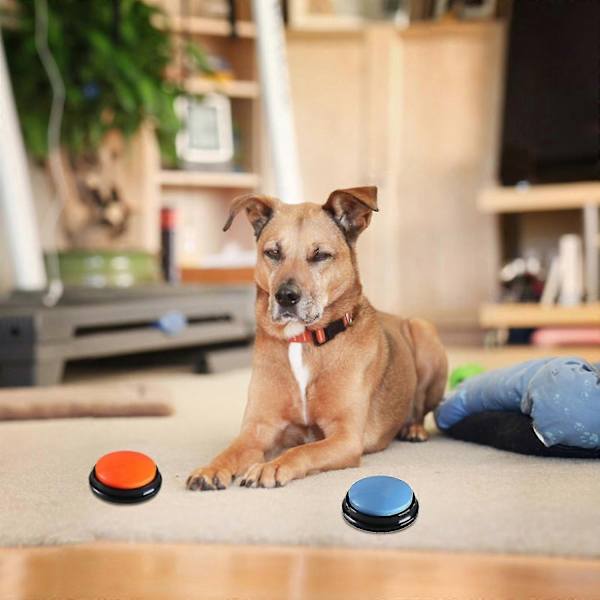 Recordable Talking Button 30 Second Voice Recording Button Training Buzzers for Pets