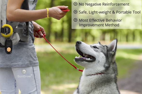 Practical and effective clicker training tool for dogs or cats