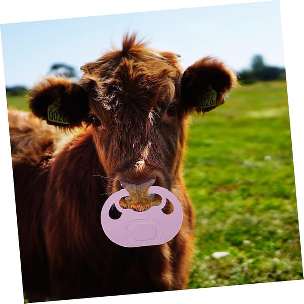 4 Pieces Calf Weaning Tool for Cattle, Calf Nose Ring, Cow Weaner