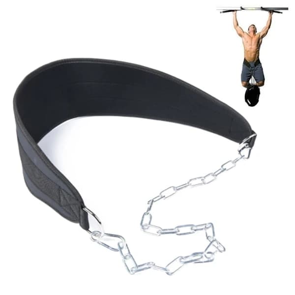 Weighted Pull Up Dip Belt Chain Double D-Ring Weightlifting