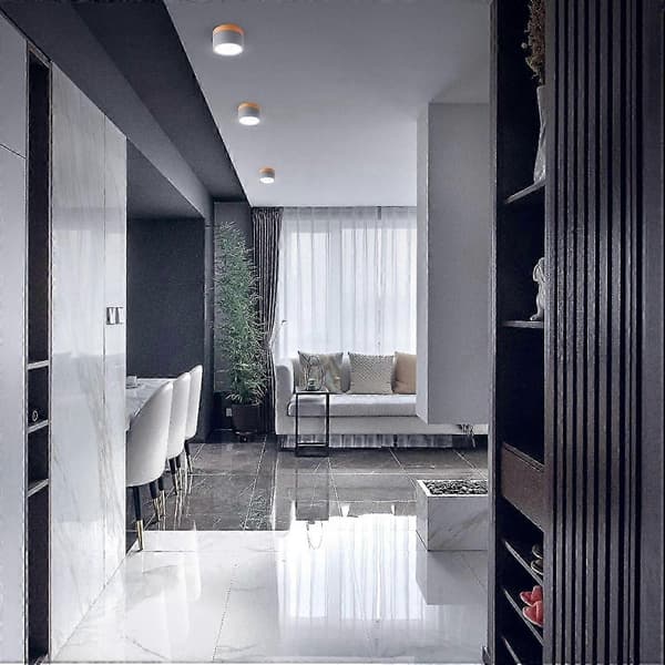 Ceiling Mounted Ceiling Spotlight Round LED Brushed Grey Cool White Aluminum Ceiling Lamp 12W 110mm