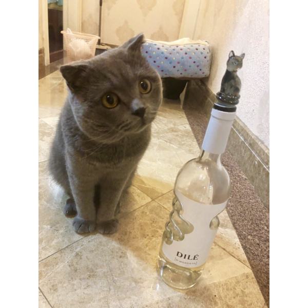 Vinprop til champagneflaske (sort kat)
