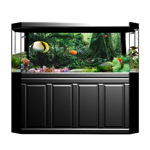 Rainforest Reptile Box Wall Decoration 76x46cm