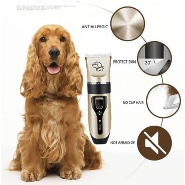 Professionell Pälstrimmer för Hund & Katt - Guld - Grooming Hair Clipper Guld one size