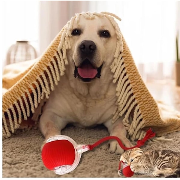 Rullande Boll, tuggboll för Hundar och katter Tuggbboll för Hundar, Interaktiv Hund Smart Boll Leksak, Interaktiv Katt Boll Leksak, 360° Smart