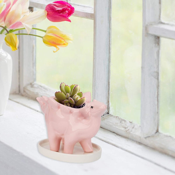 Keramisk dinosaurie planterkruka, suckulenta krukor, suckulent blomma Po