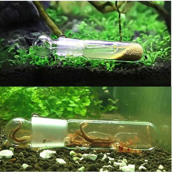 3 KPL Planarian Loukku Lasi Pyynti Kynä Katkarapu Hyönteinen Saalisastia