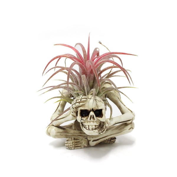 Halloween Skull pot harpiksdeksel Skull gotisk dekorasjon Skull mul