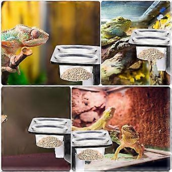 1 Setti Reptile-ruokintahylly Imukappaleilla, Reptile-vesiruokinta, Reptile-säiliötarvikkeet