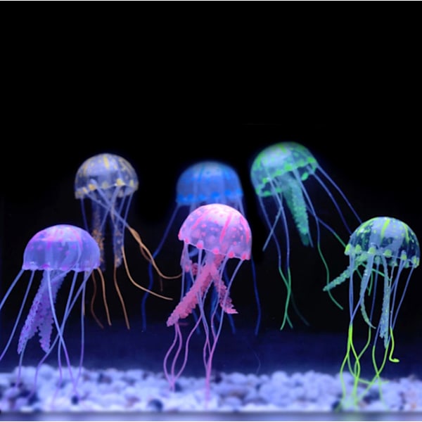 Hohtava meduusa Simulaatio meduusa Erittäin käytännöllinen ja suosittu