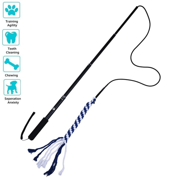 Bleu Flirt Pôle Chien Baguette Teaser Extensible pour Chien Jou