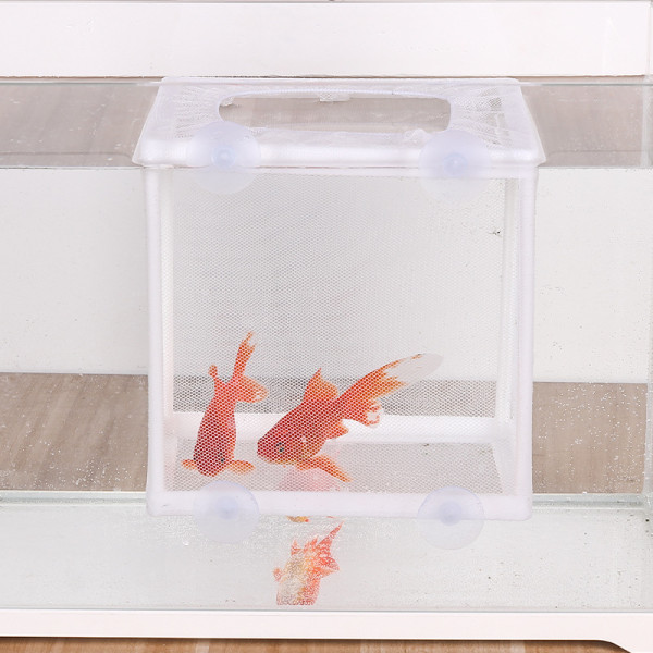 Akvariefisk Isolasjonsboks, 26 * 15 * 15,5 cm, Stor Størrelse Klekkeri Nett, Fiskeinkubator Akvariefisk