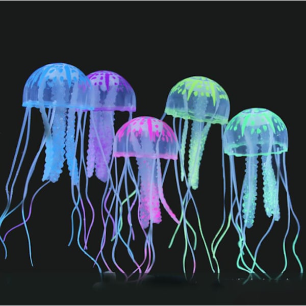 Hohtava meduusa Simulaatio meduusa Erittäin käytännöllinen ja suosittu