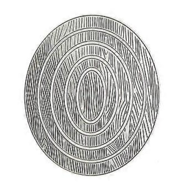 Metallstans for oval ramme med trestruktur - DIY-stans for scrapbooking, preging og forming