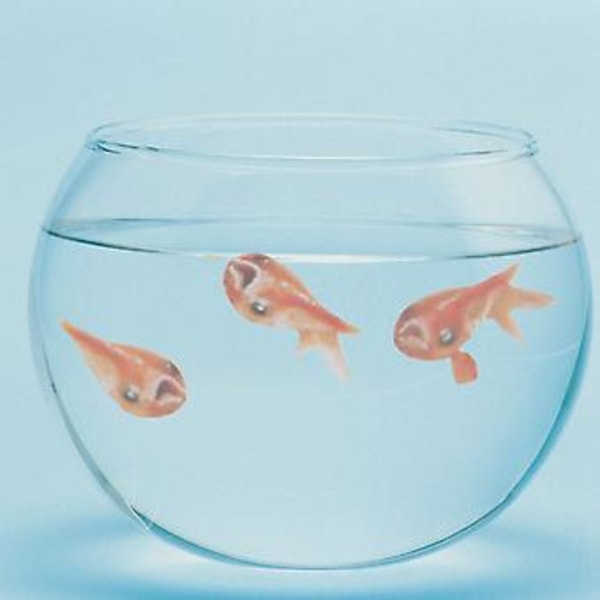 Fascinerende 3D Gullfisk Klistremerke DIY Simulert Fisk Landskap Klistremerke 4 stk Selges (022)
