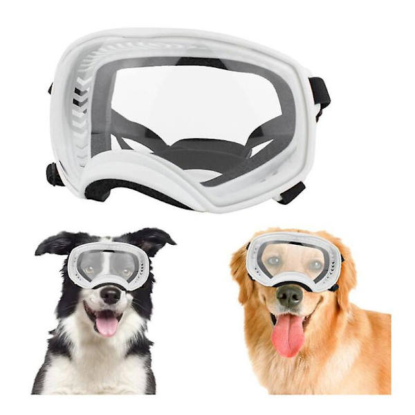 Hvide, klare hunde briller til mellemstore og store hunde - Sports solbriller til hunde