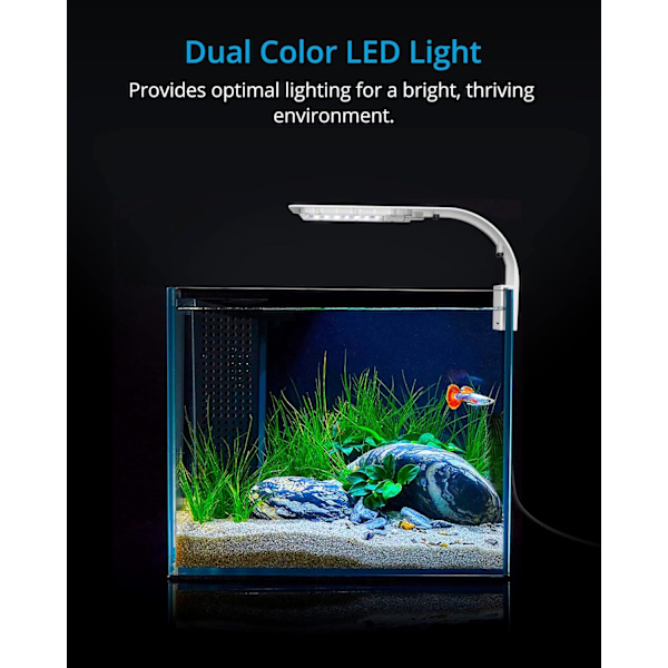 Ultra-tynd LED-lampe til lille akvarium (hvid), akvarielyslampe med 40 LED'er hvid og blå L