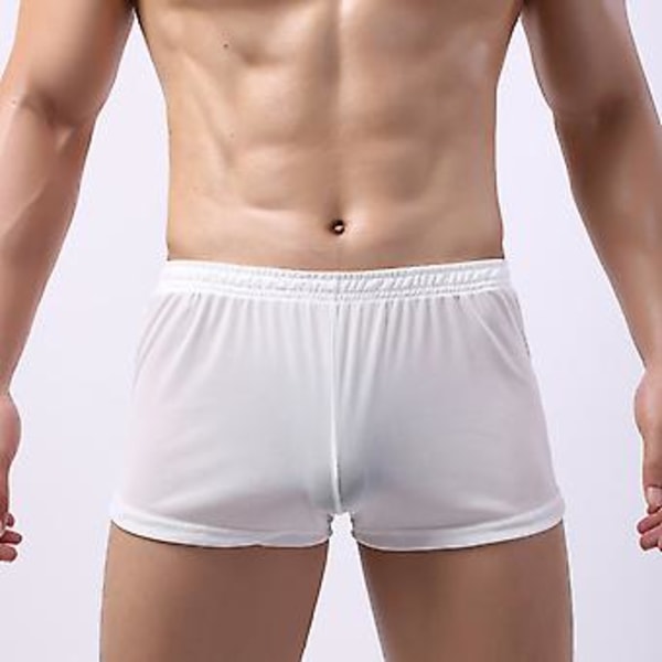 Soutong Genomskinliga Herr Underkläder Solid Färg Mesh Garn Midja Transparent Tunn Boxer Underkläder (L Vit)