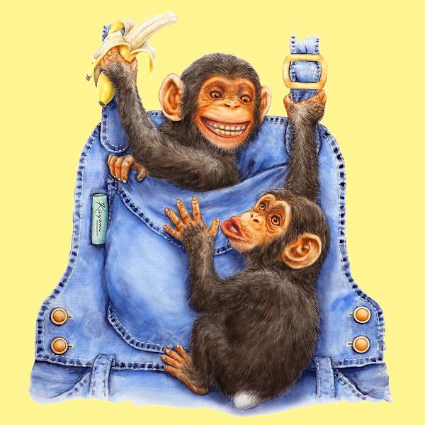 30 x 40 cm, Orangs - outans volent des bananes Peinture au diamant