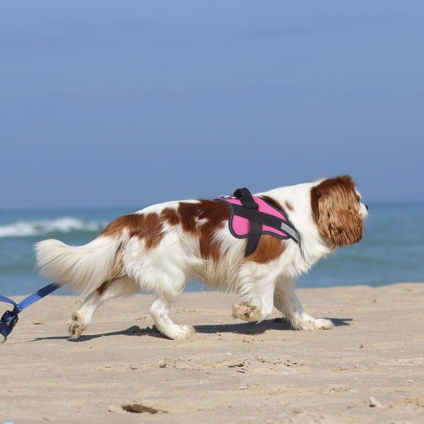 Hundsele, reflexväst för hund utan drag, andningsbar justerbar P