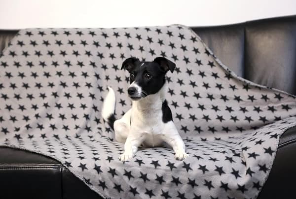 1 stk. Grå stort blødt plyssetæppe til hunde, katte, kaniner og odder