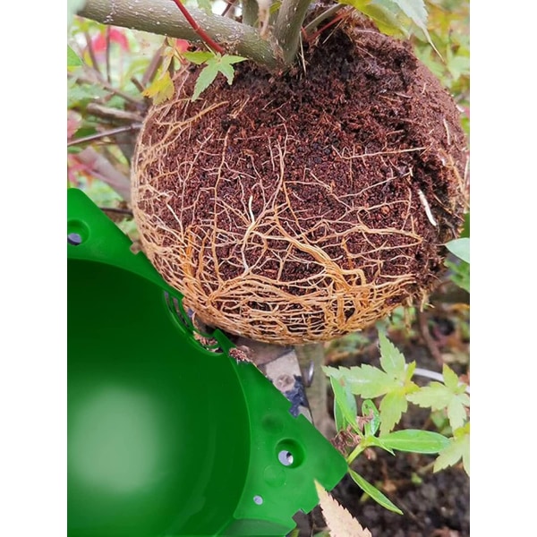 14 stycken Plant Rooting Box Förökningsboll, Ympningslåda Hög P