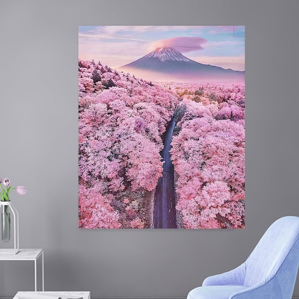 5D timanttimaalaus (ilman kehystä) 40cm*50cm 5D timanttimaalaus