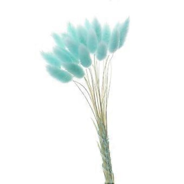 Boho Heminredning Torkade Blommor Arrangemang Naturligt Pampasgräs, Vass, (blå)