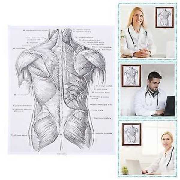 1 kpl Ihmisen anatomian seinätaidemaalaus Anatomian juliste Anatomiset elimet juliste