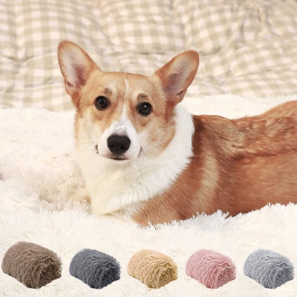Hunde tæppe, Fluffy Plush Hunde Kat Tæppe, Blødt og varmt kæledyrstæppe