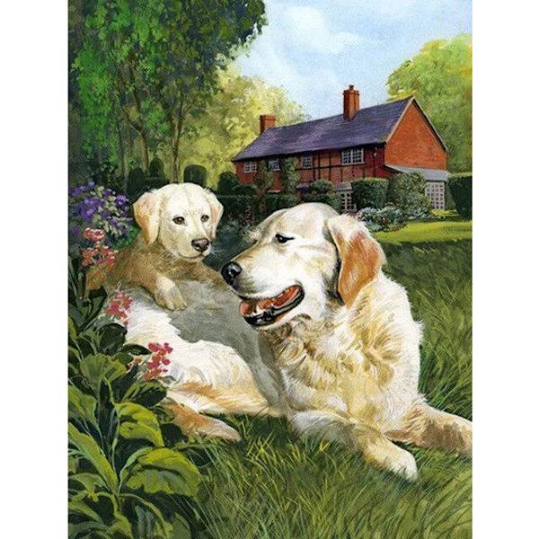 30 x 40 cm, deux chiens Diamond Painting Broderie Diamant Peint