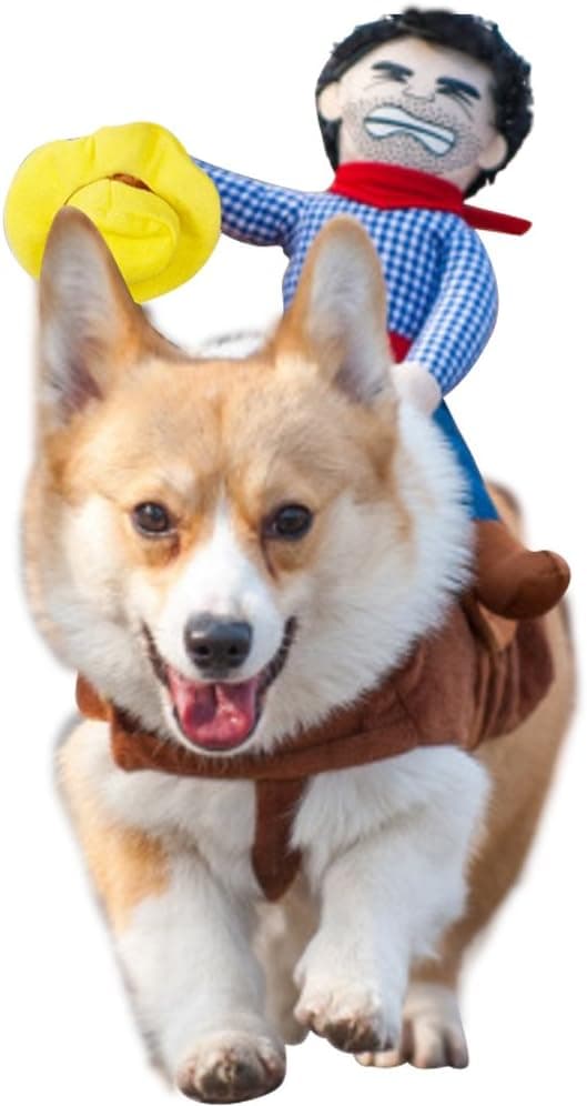Hundkläder Husdjur Ridkläder Cowboy Stil(S)