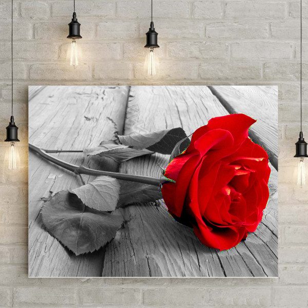 30 x 40 cm ,rose rouge Diamond Painting Broderie Diamant Peintu