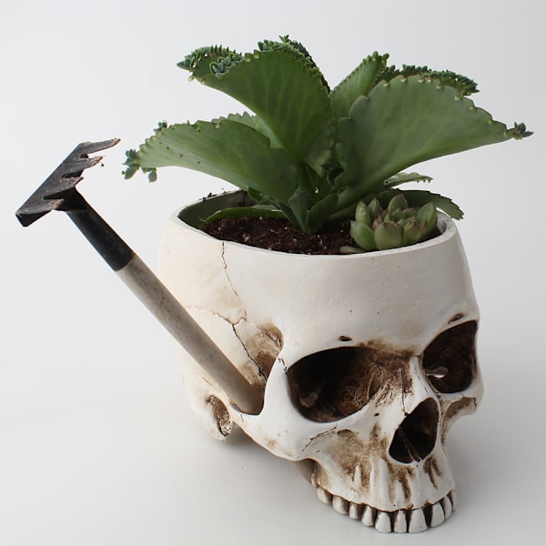 Desktop Kreativ Blomsterpot Skelet Havearbejde Blomsterpot Beholder