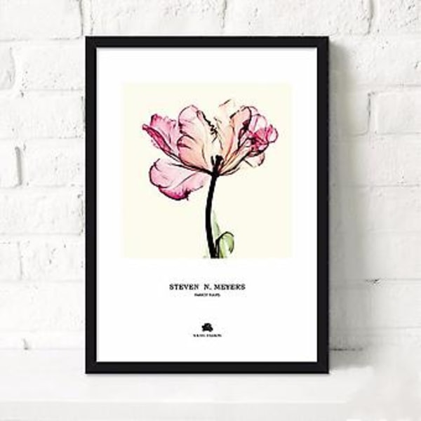Wekity Pastoral Blomster Väggkonst Canvas Print Poster, Enkel Mode Vattenfärg Konst Ritning Dekoration för Hem Vardagsrum Sovrum Kontor och Barns Rum
