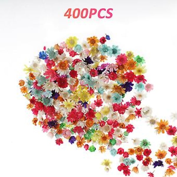 Ægte tørrede blomster til DIY kunsthåndværk epoxy resin lysfremstilling smykker glas kit ( )