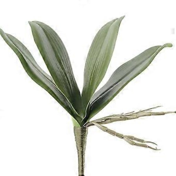 Simulaatiolehdet Ei-lakastuvat Teko-Phalaenopsis Orkidean Lehdet Kodin Sisustus (C )